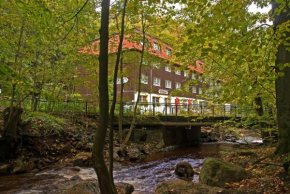 Ilsenburg
